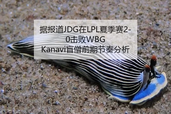 ju-bao-dao-zai-xia-ji-sai-ji-bai-mang-seng-qian-qi-jie-zou-fen-xi-2-282.jpg